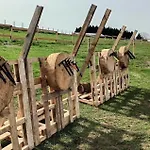 Achouffe Valley Отель *